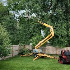 Best Arborist Consultation Services  in Brewster Hill, NY