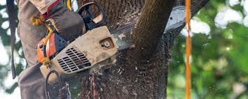 Best Lawn Irrigation Installation and Maintenance  in Brewster Hill, NY