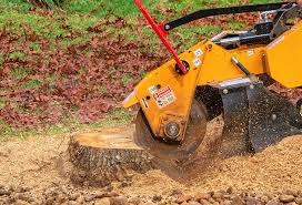 Lawn Edging in Brewster Hill, NY