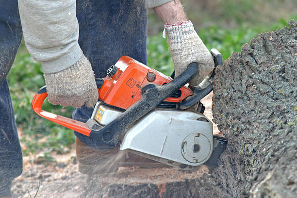 Best Lawn Watering Services  in Brewster Hill, NY