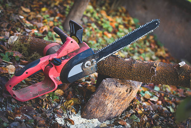 Best Lawn Maintenance Plans  in Brewster Hill, NY